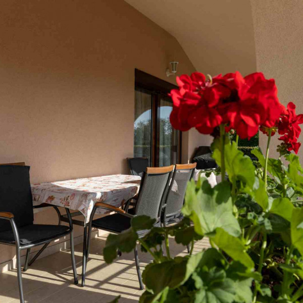 Country house Nina, travel2porec - Ferienhäuser in der Nähe von Poreč, Istrien - Kroatien