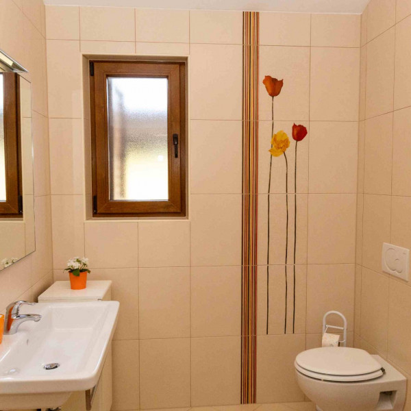 Bathroom / WC, Country house Nina, travel2porec - Holiday Homes near Poreč, Istria - Croatia